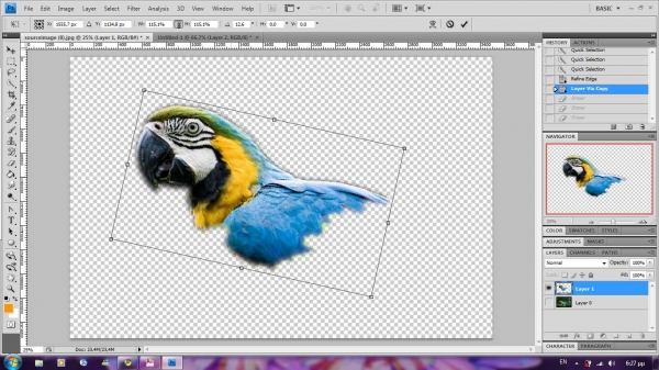 Creation of parrot painting [updated]: Step 3